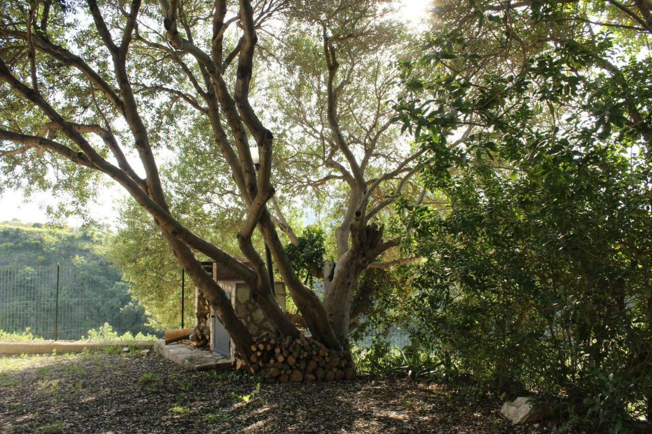 Вілла Rustici L'Antico Torchio Кастелламмаре-дель-Гольфо Екстер'єр фото