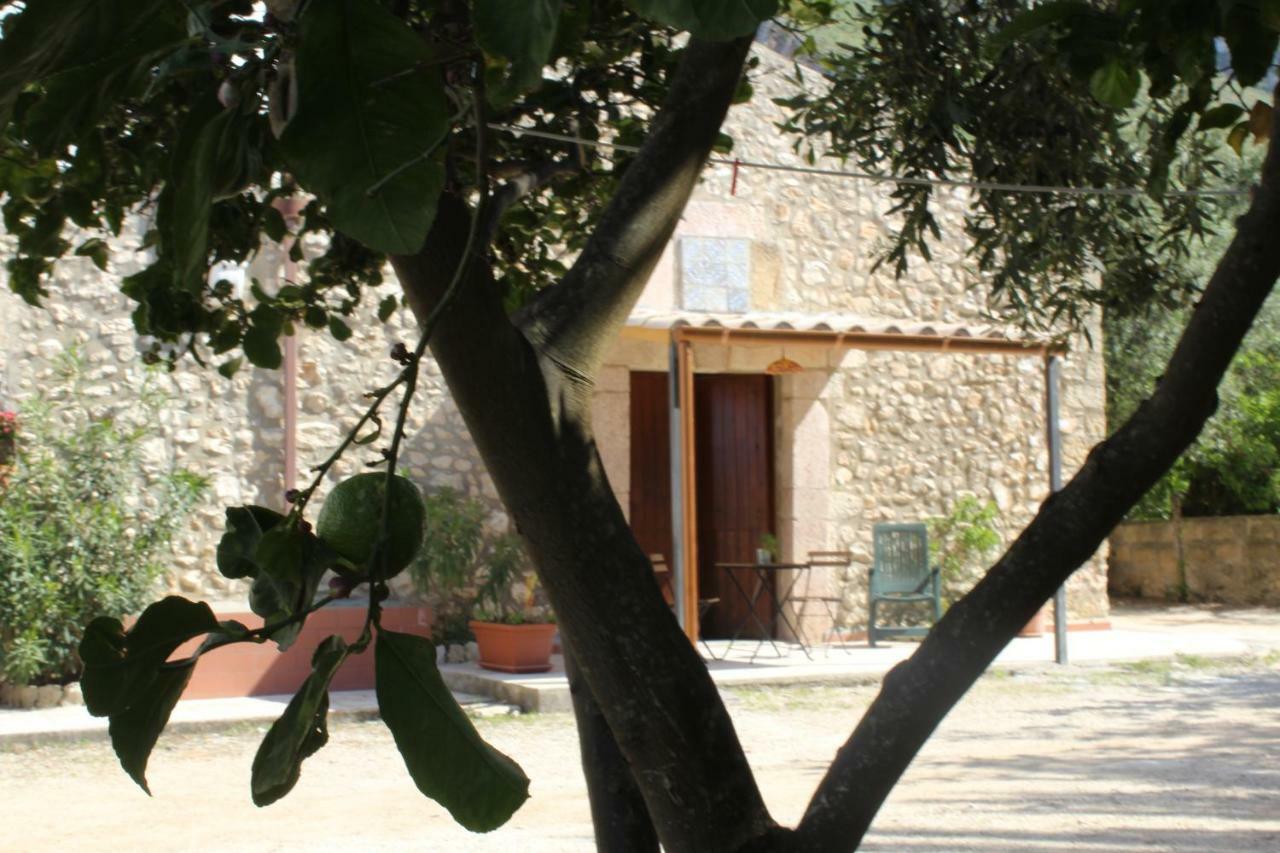 Вілла Rustici L'Antico Torchio Кастелламмаре-дель-Гольфо Екстер'єр фото