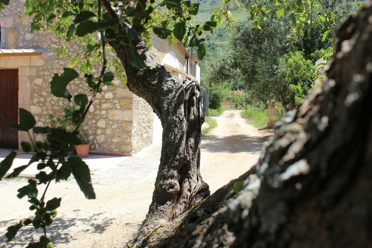 Вілла Rustici L'Antico Torchio Кастелламмаре-дель-Гольфо Екстер'єр фото